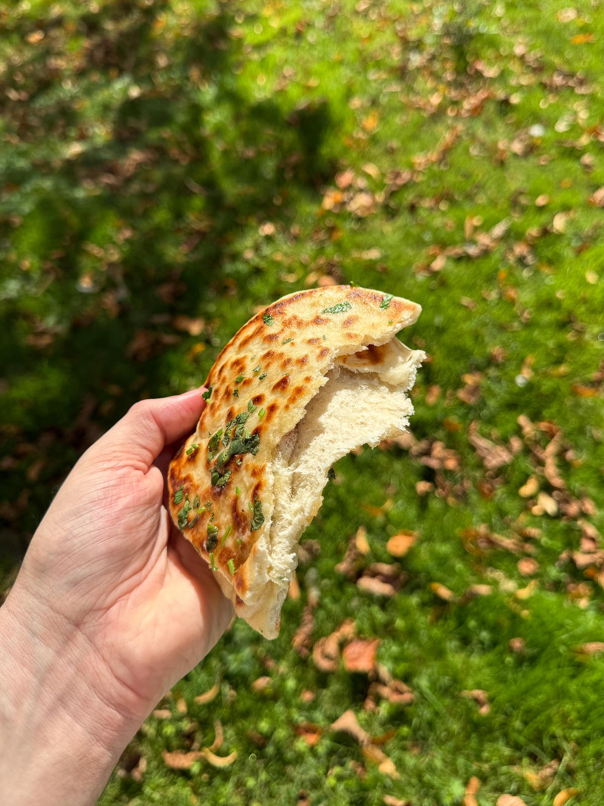 inside naan
