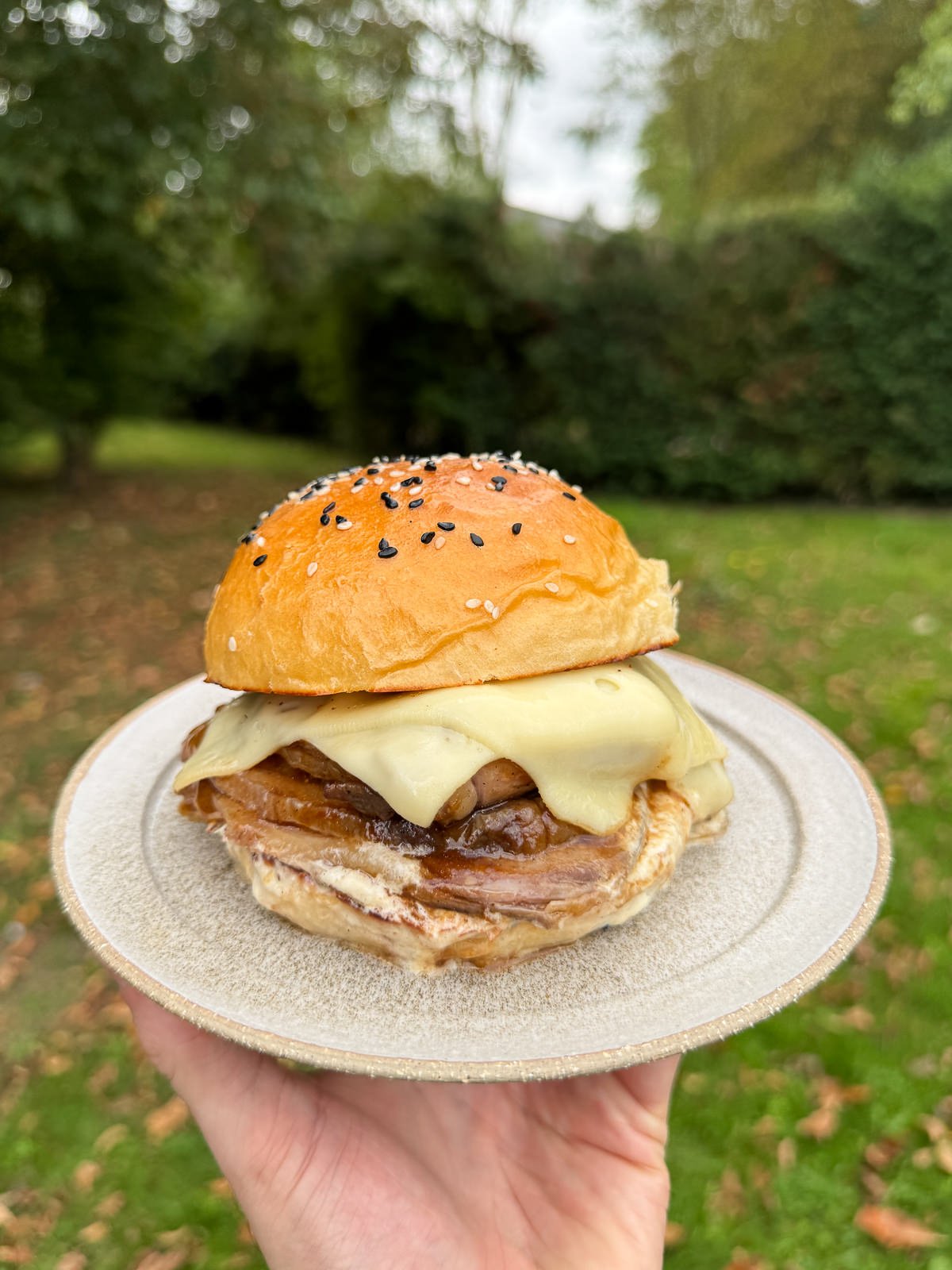 roast beef swiss cheese bun
