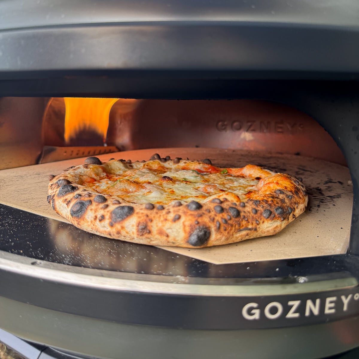 leopard crust sourdough pizza