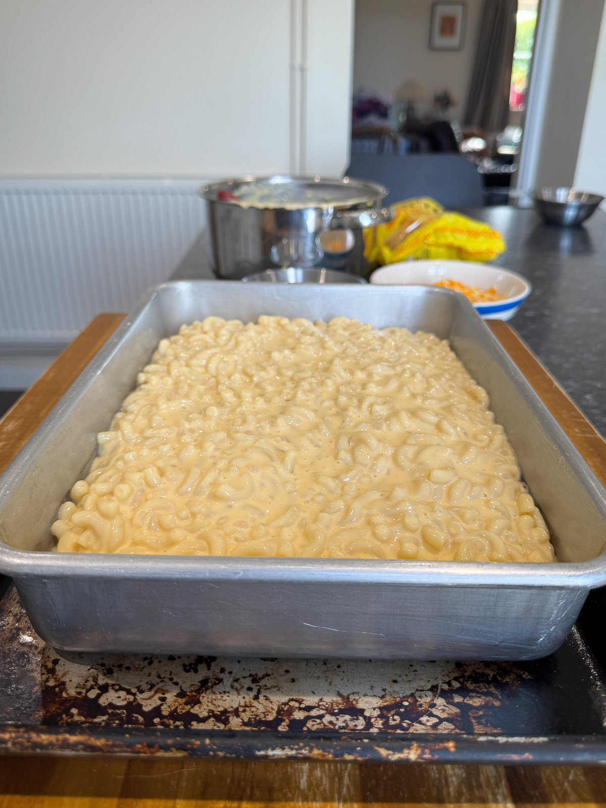 cheese sauce pasta layer