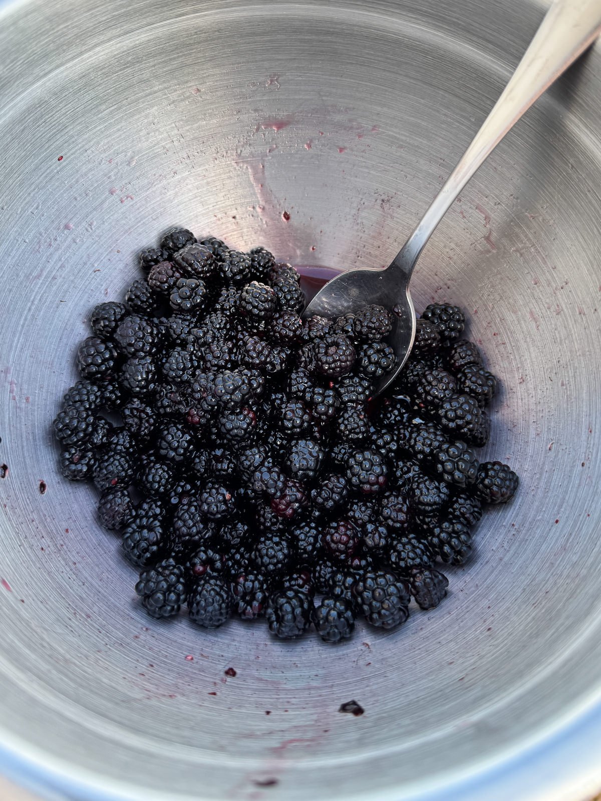 macerated blackberries