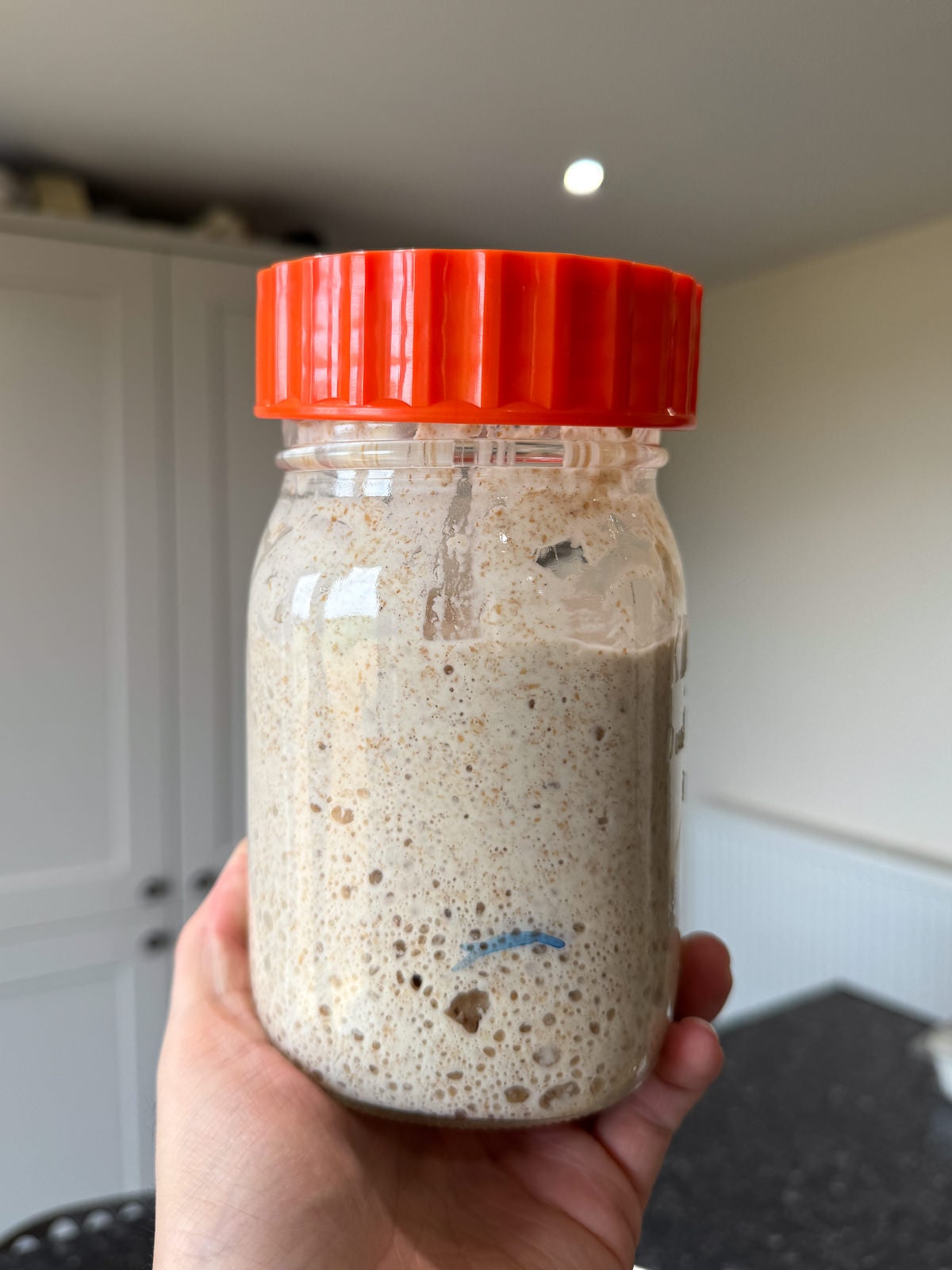 mature sourdough starter at its peak