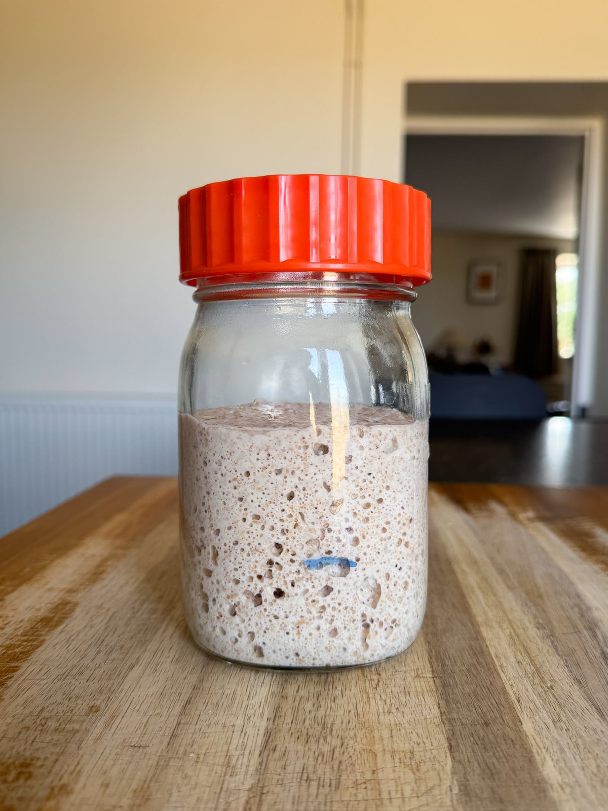mature sourdough starter ready to use