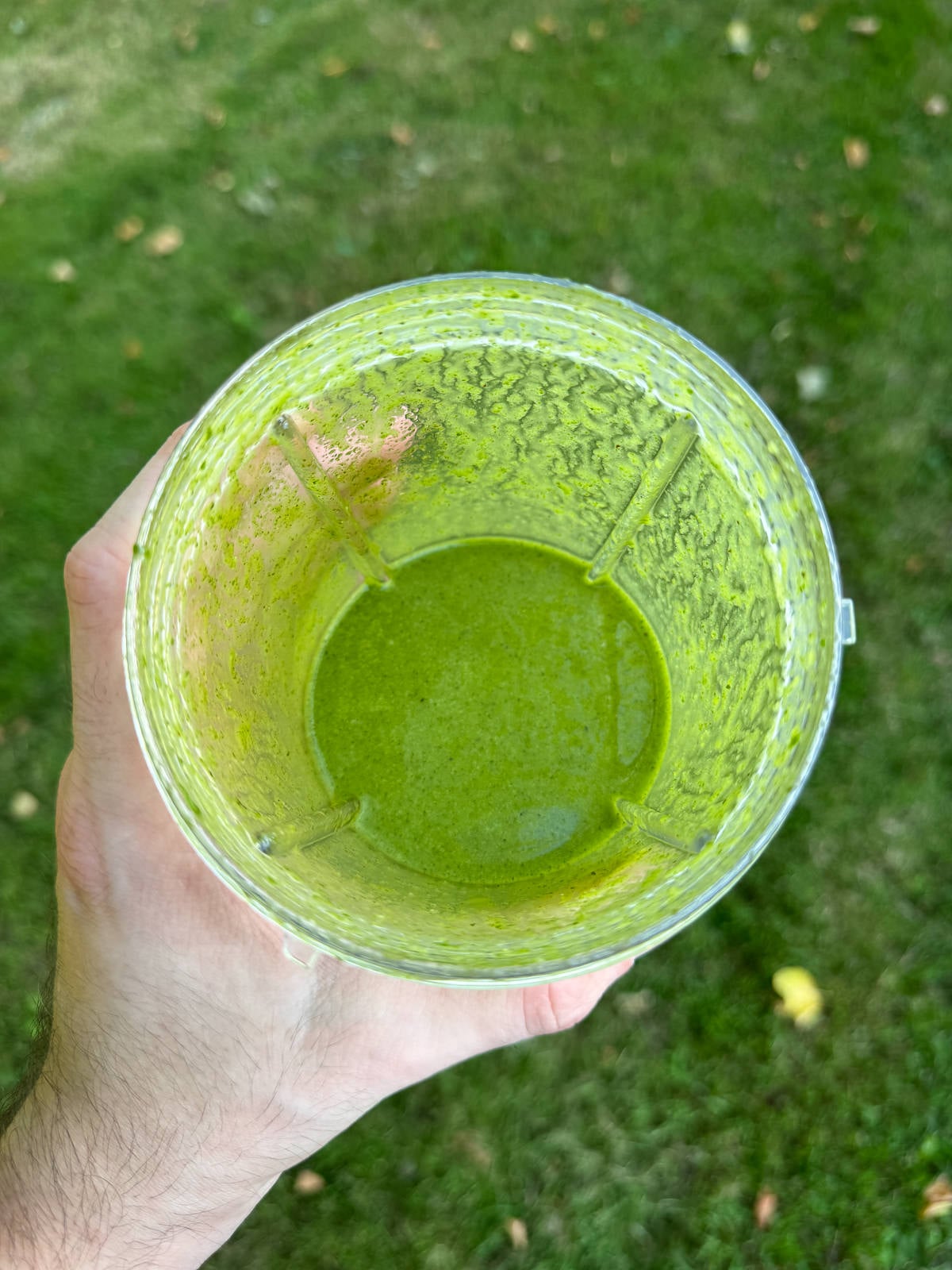 mint mojito salad dressing
