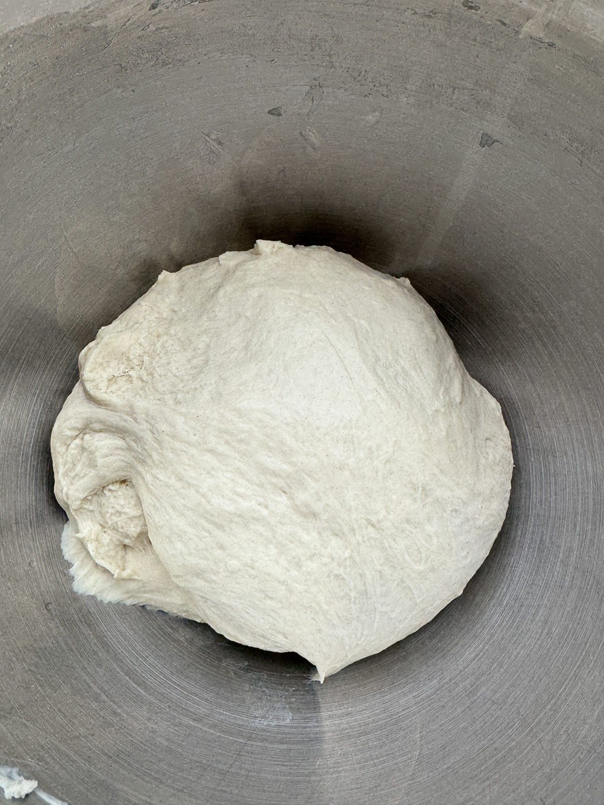 mixed pizza dough in bowl