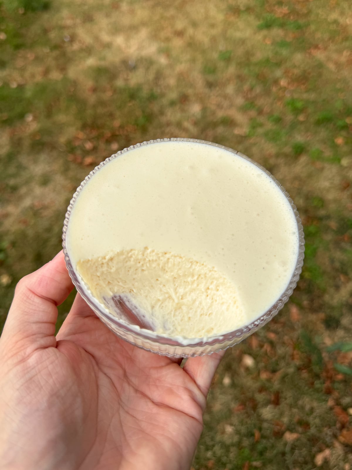 white chocolate mousse light texture