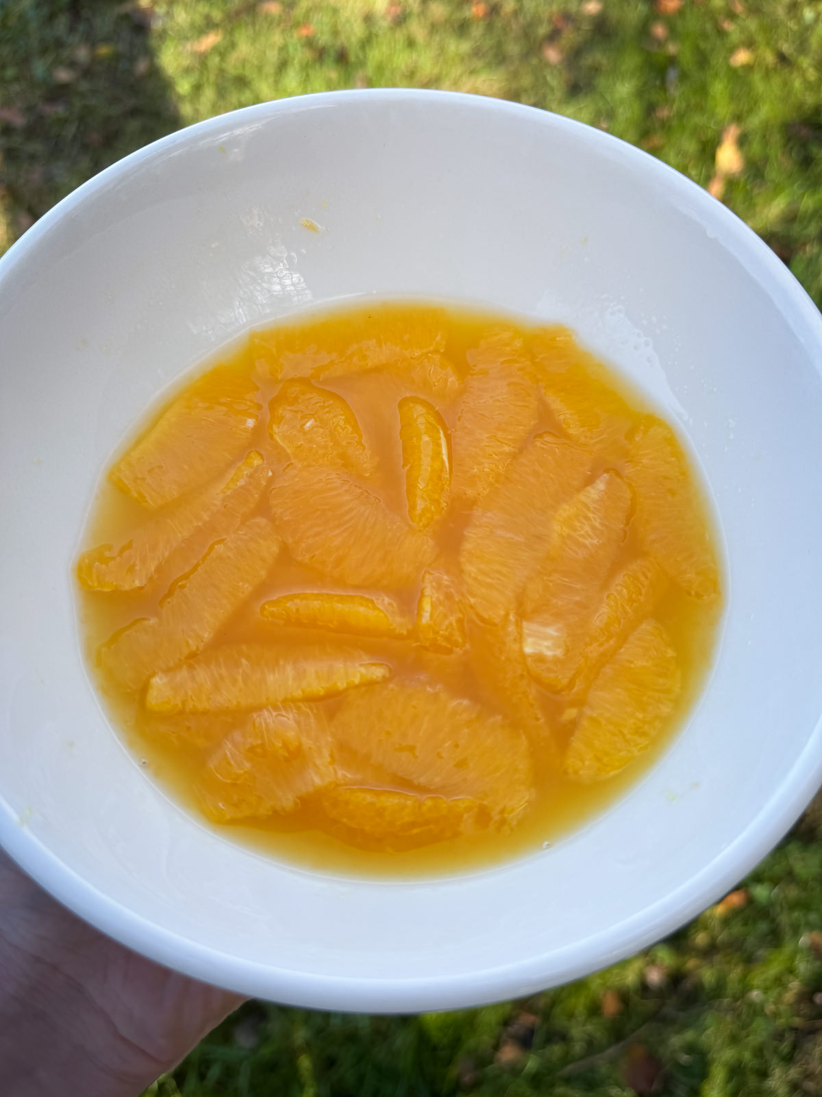 orange segments in syrup