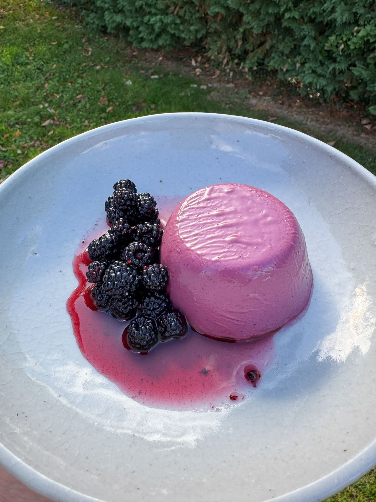 panna cotta with wild blackberries