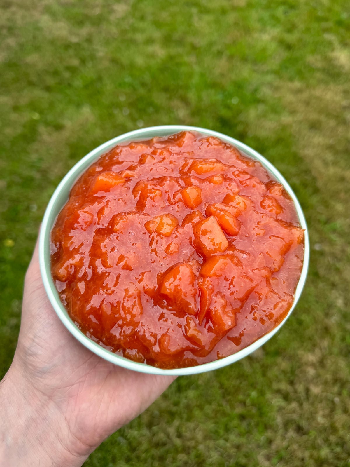 summer peach compote