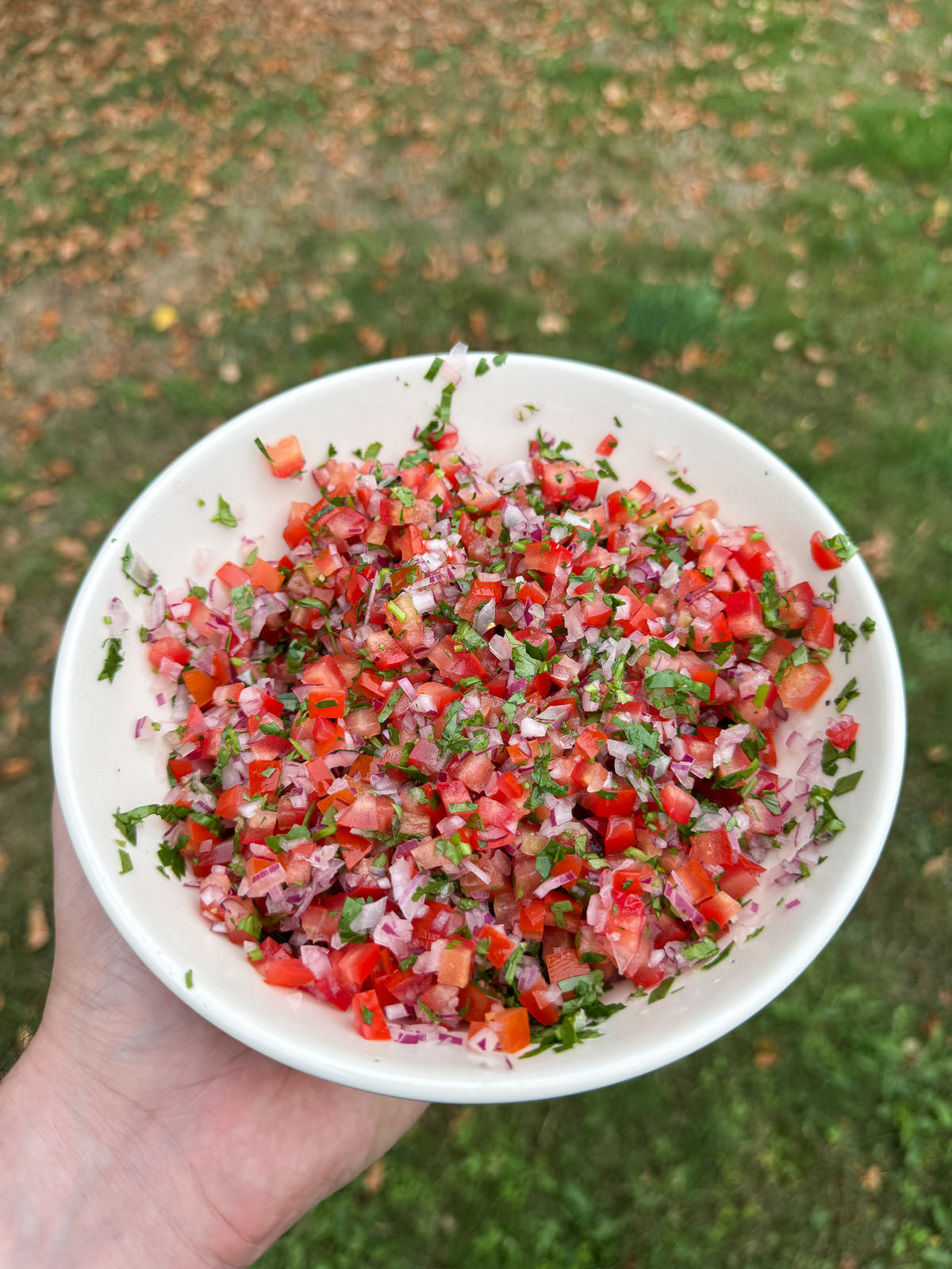 pico de gallo tomato salsa