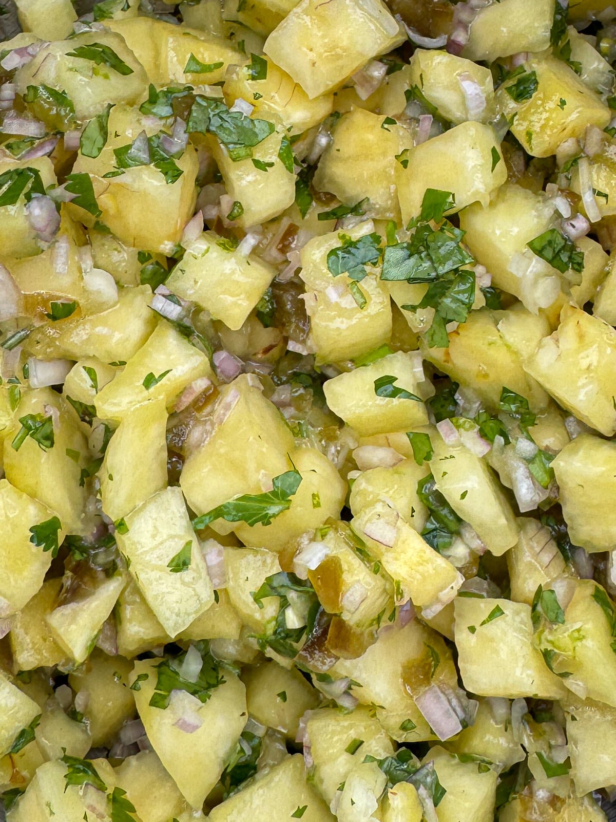 close up photo of pineapple salsa