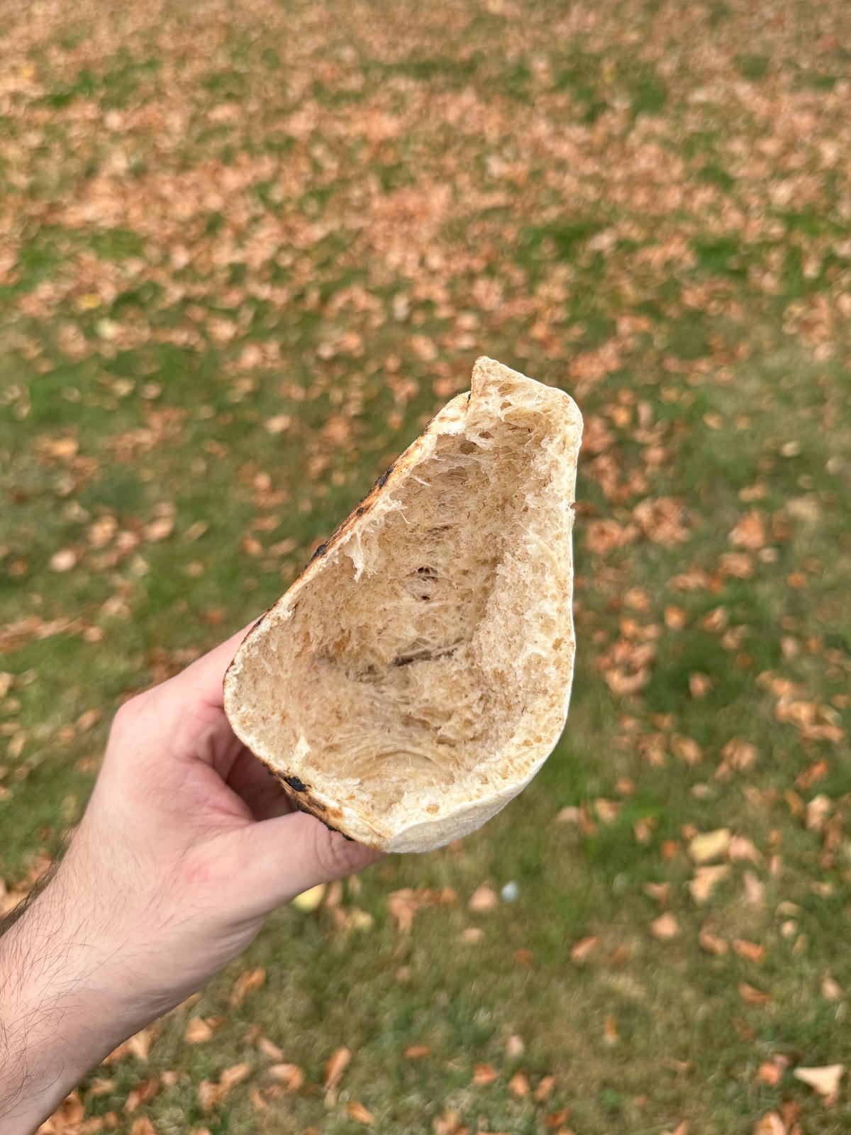 pita inside pocket