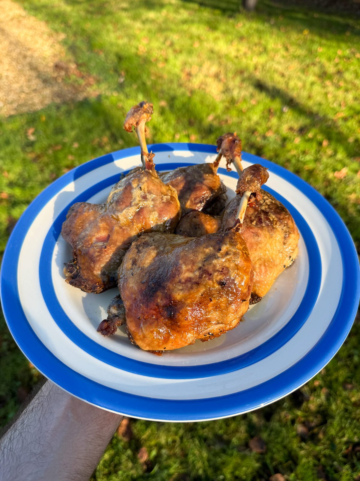 plate of confit duck legs