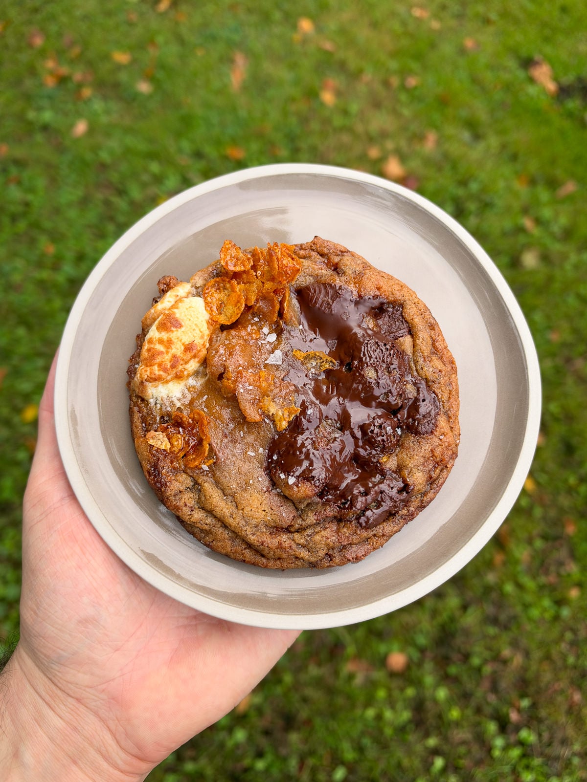 plate sized chocolate chip cookie