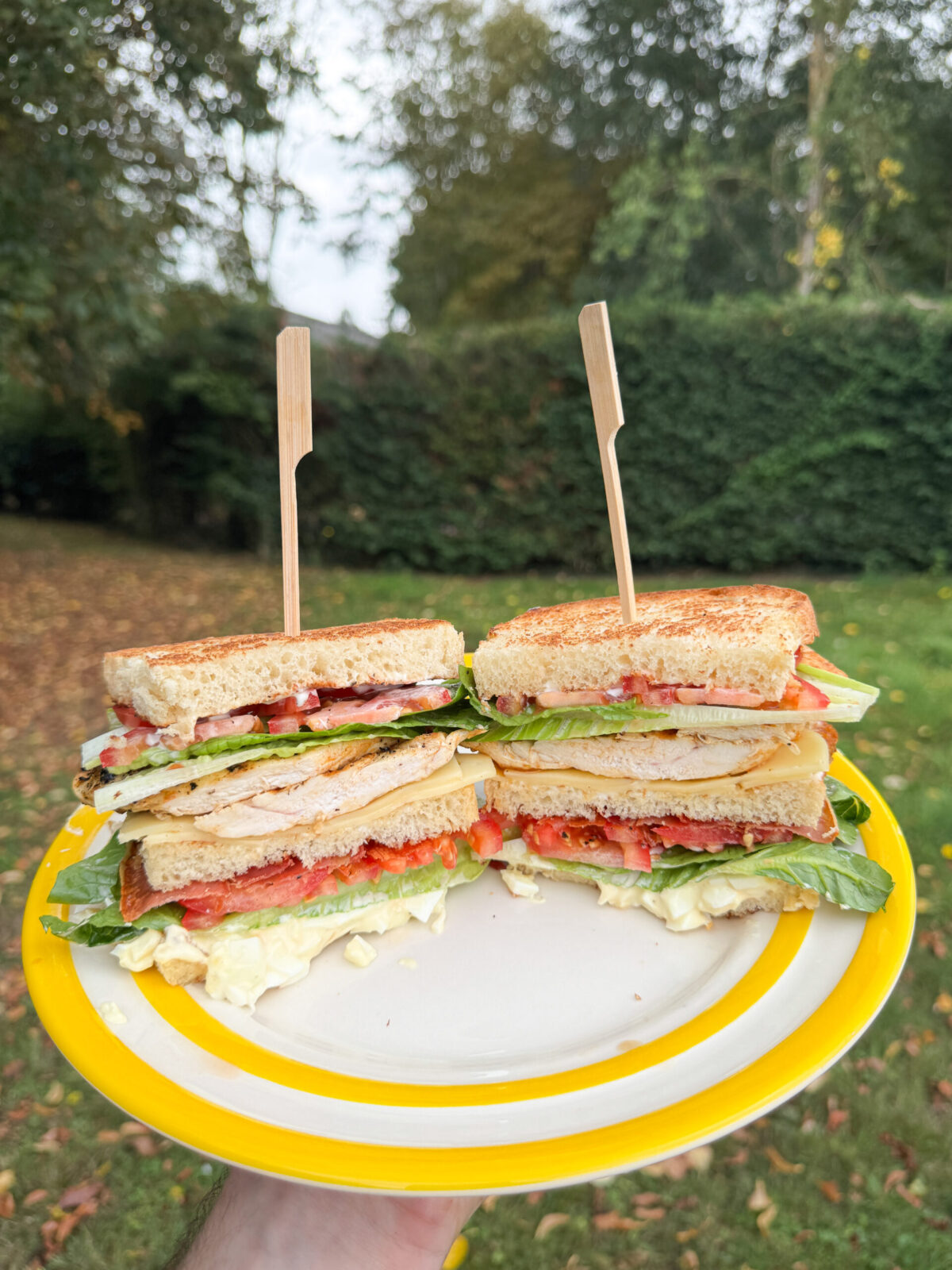 plated club sandwich