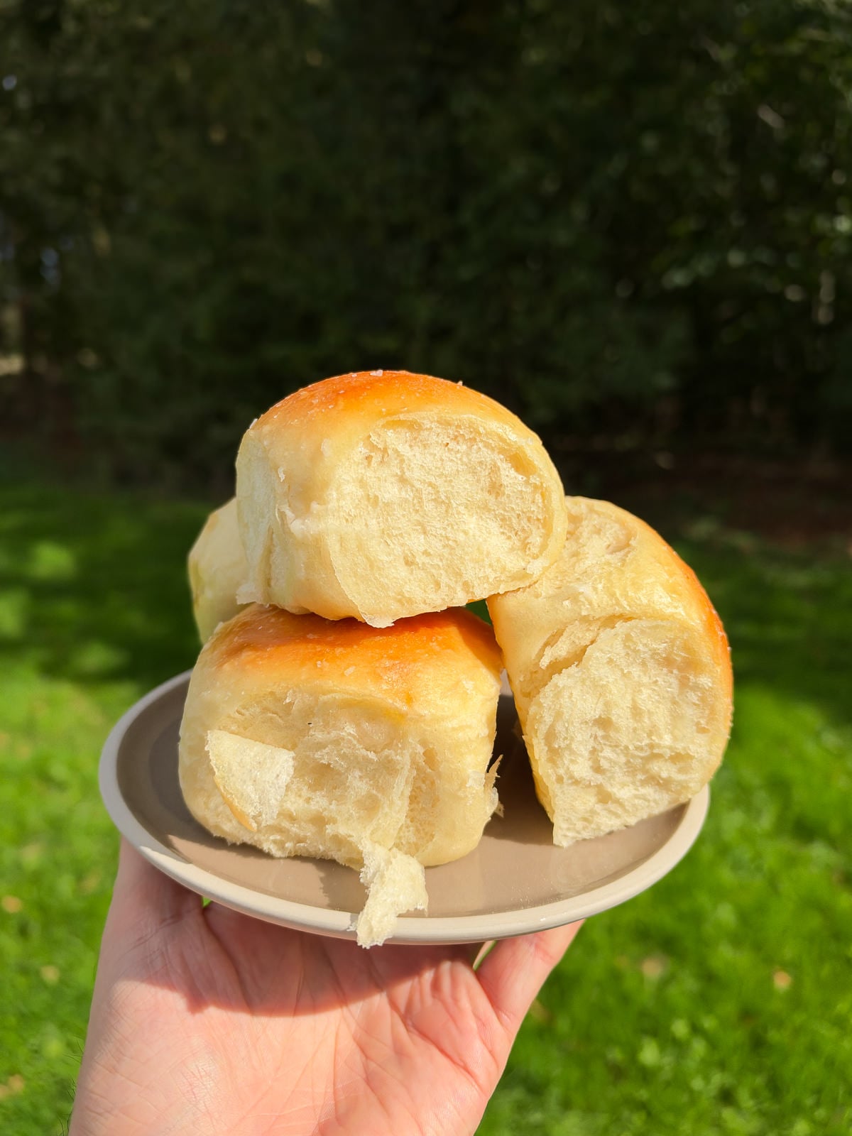dinner rolls made with a pre ferment