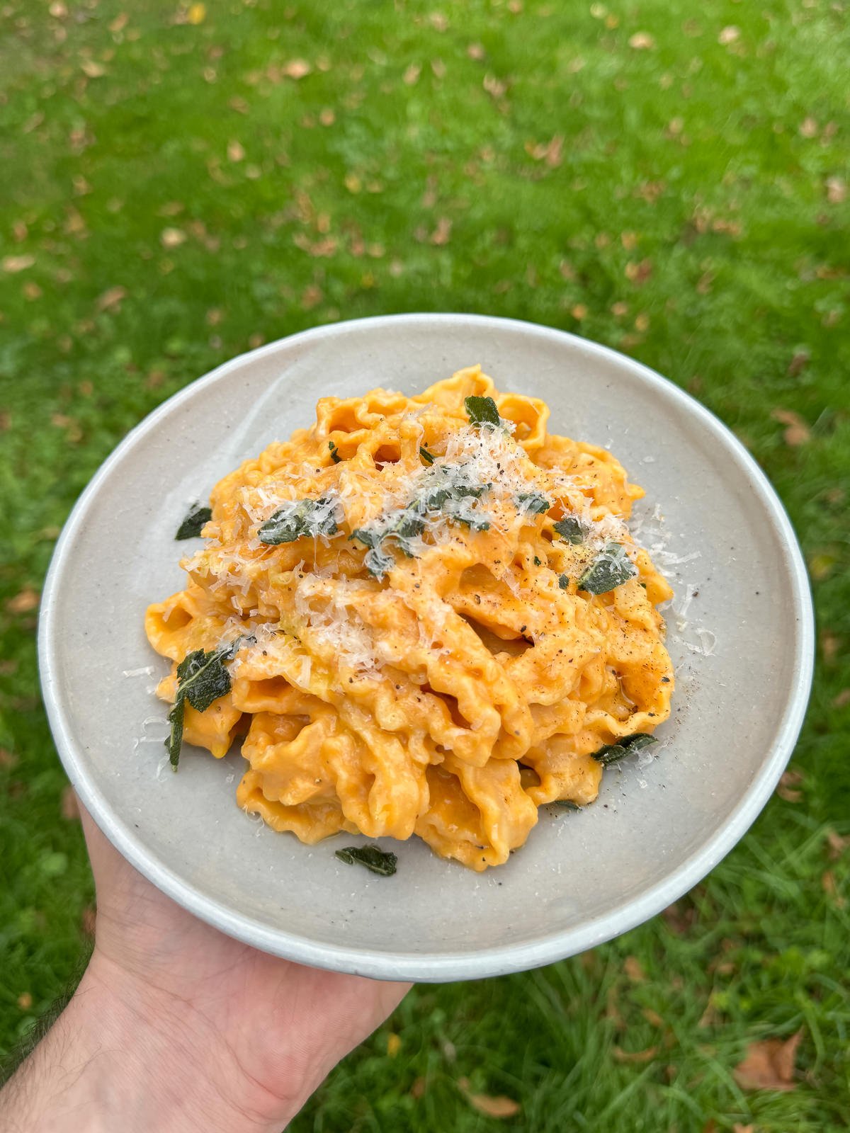 pumpkin & sage mafaldine pasta