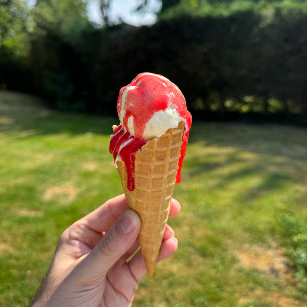 raspberry sauce for ice cream
