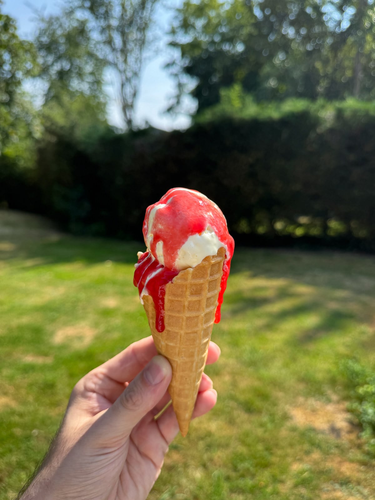 raspberry ice cream sauce