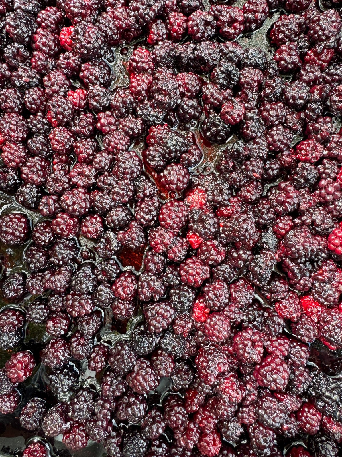 roasted blackberries