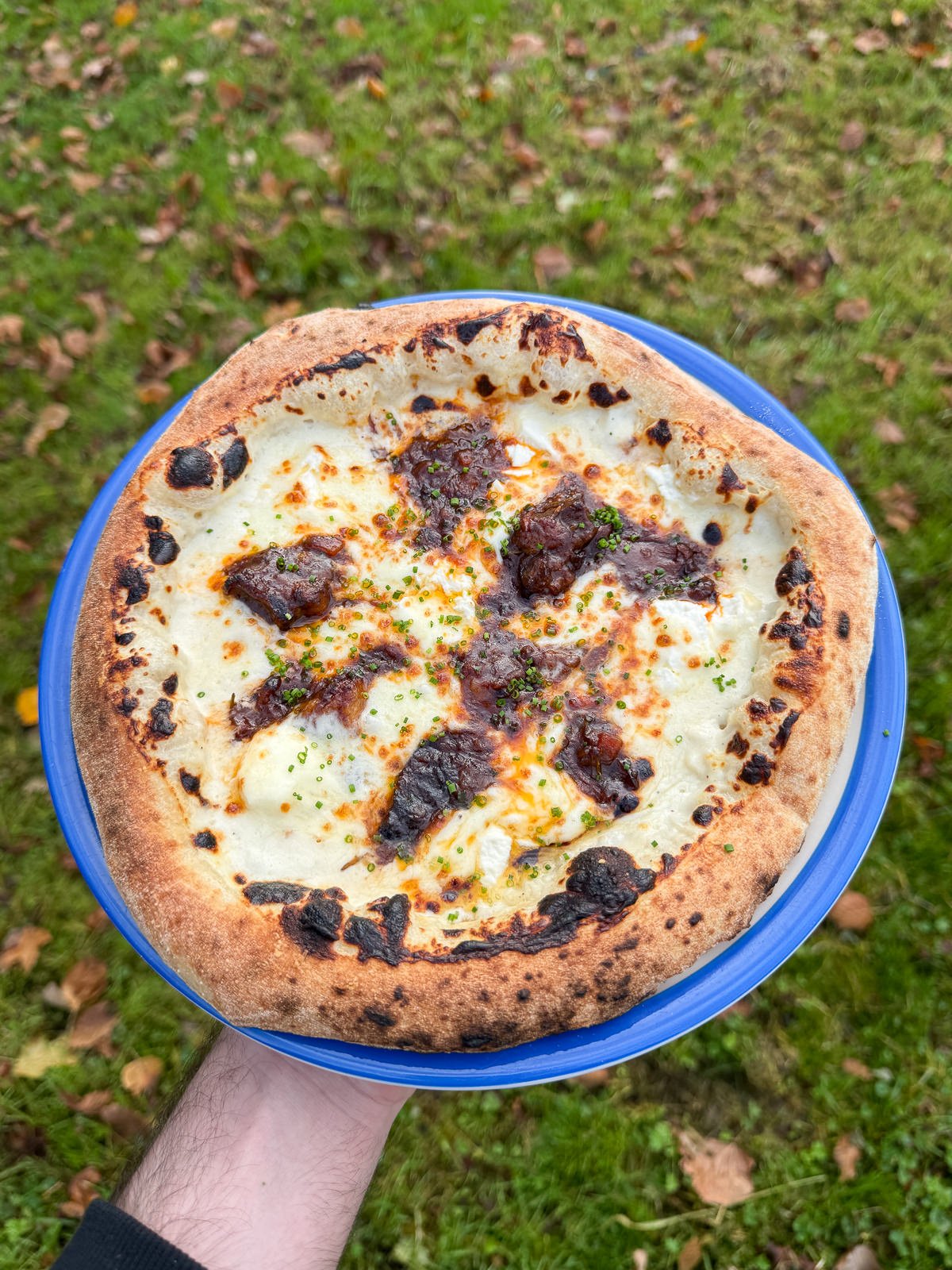 white pizza with roasted garlic sauce