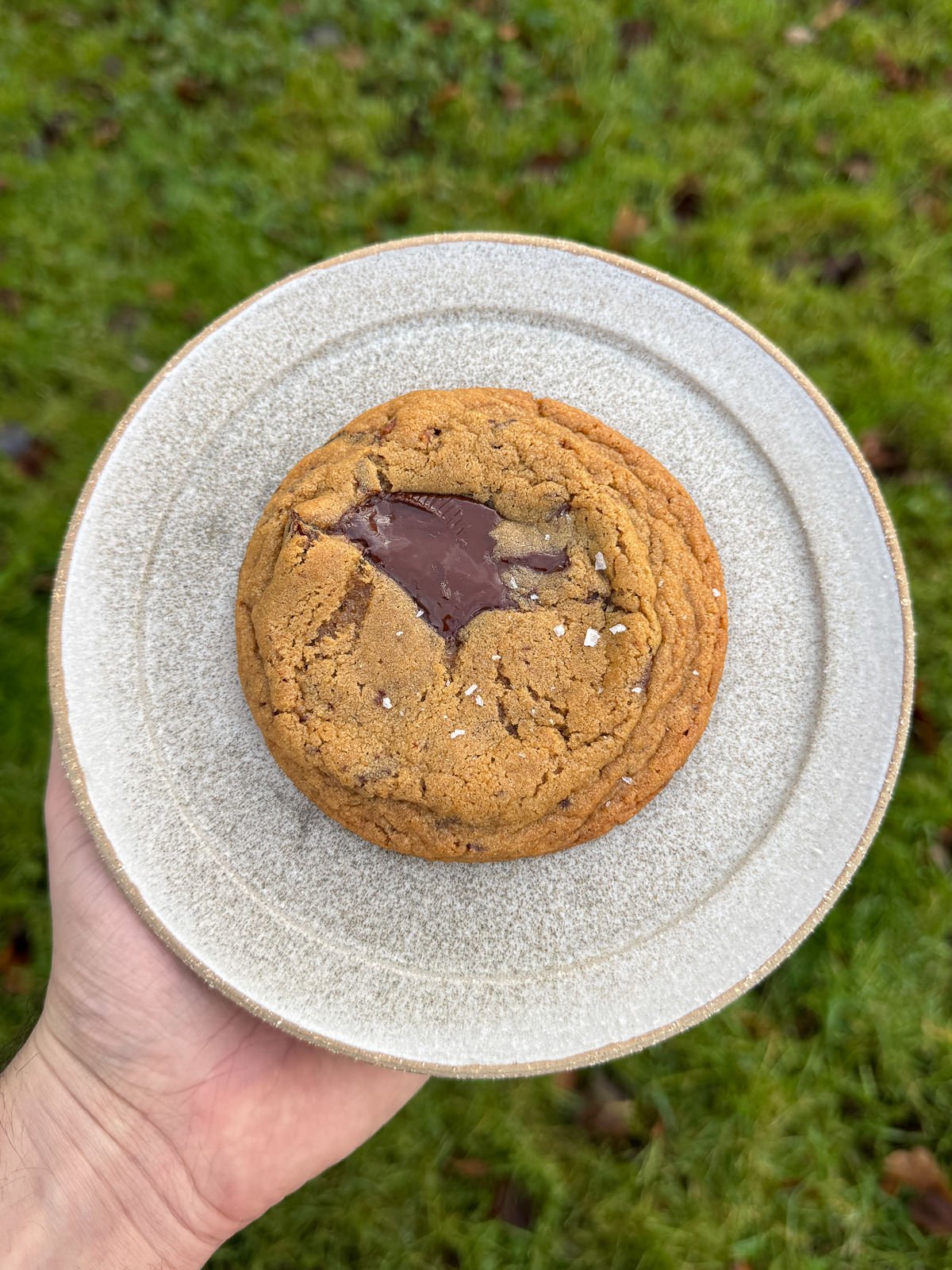 perfectly round chocolate chip cookie using cookie scoot