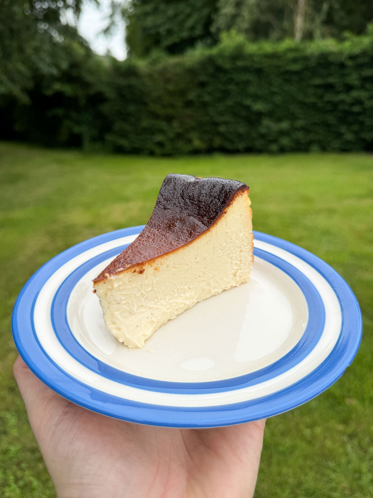 slice of cheesecake just holding its shape