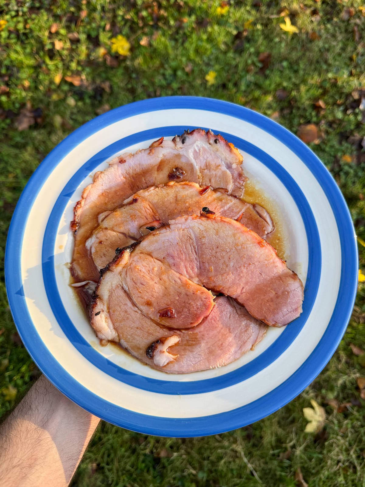 slices of glazed ham