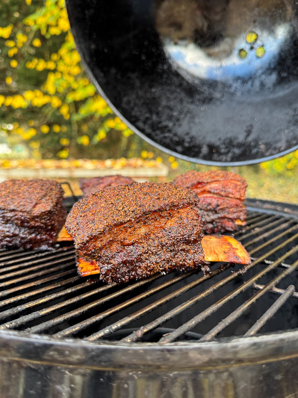 smoked beef ribs in smoker