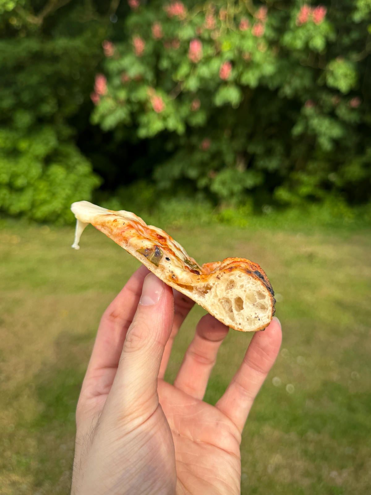crust with open crumb
