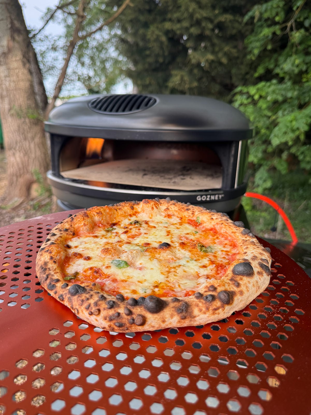homemade pizza made with sourdough