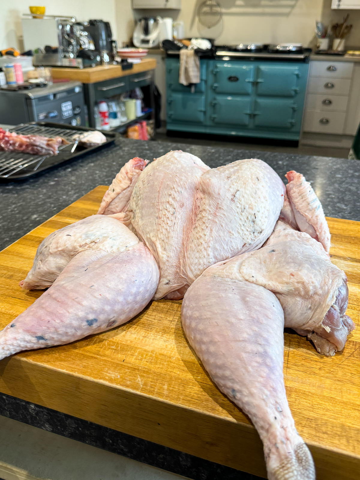 spatchcocked whole turkey