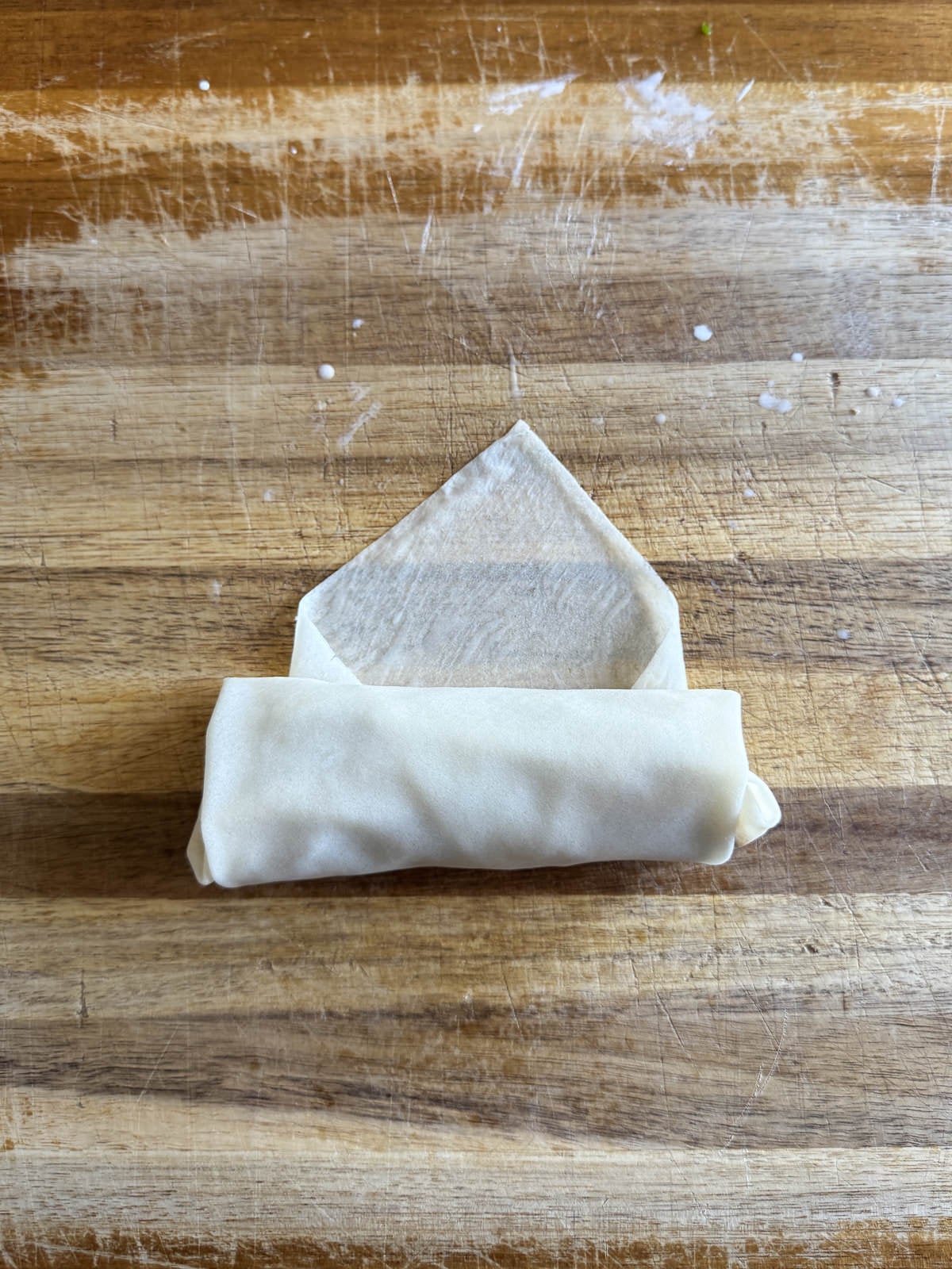 spring roll assembly part 5