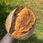 step by step sourdough bread