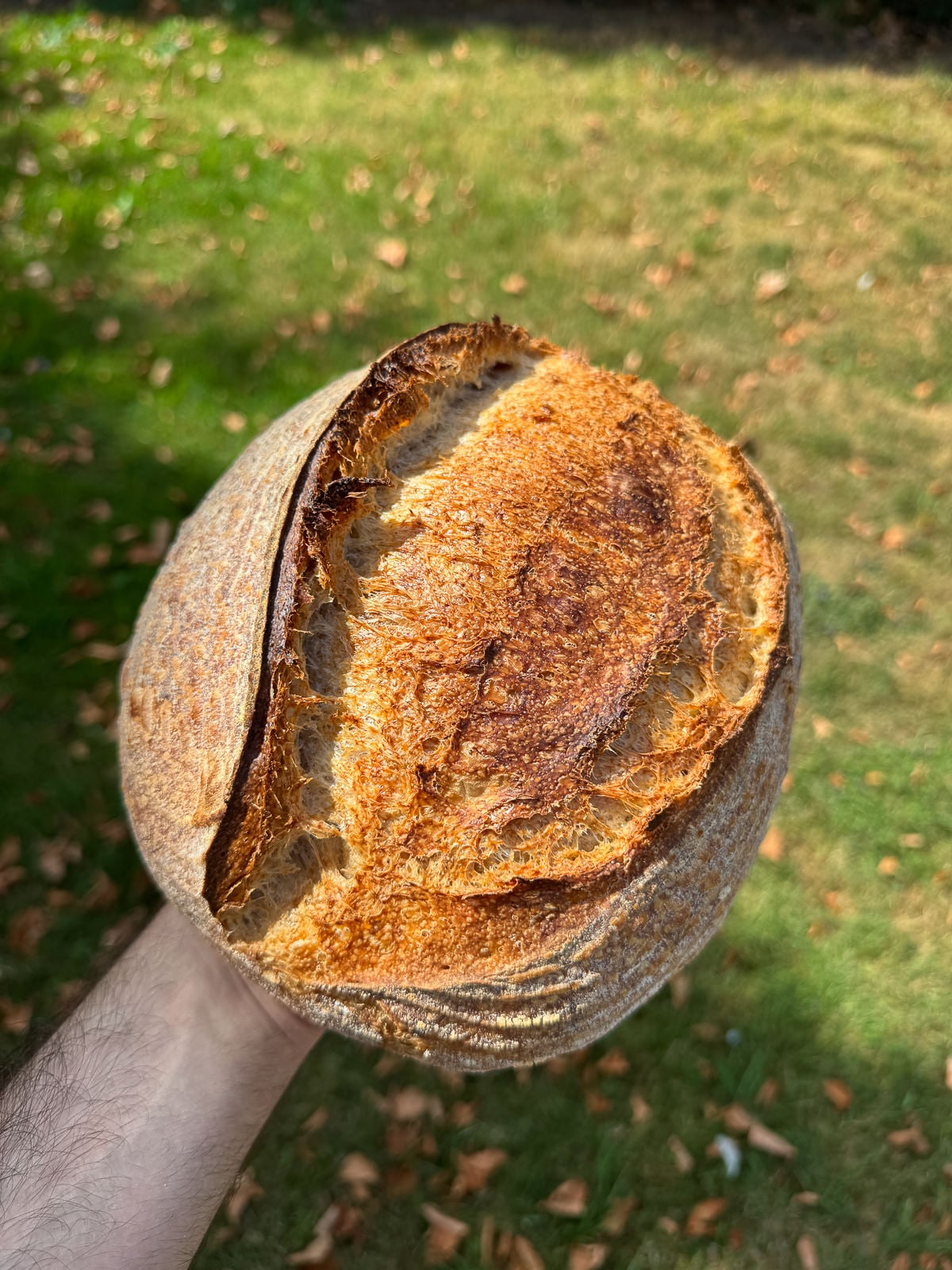 easy homemade sourdough bread