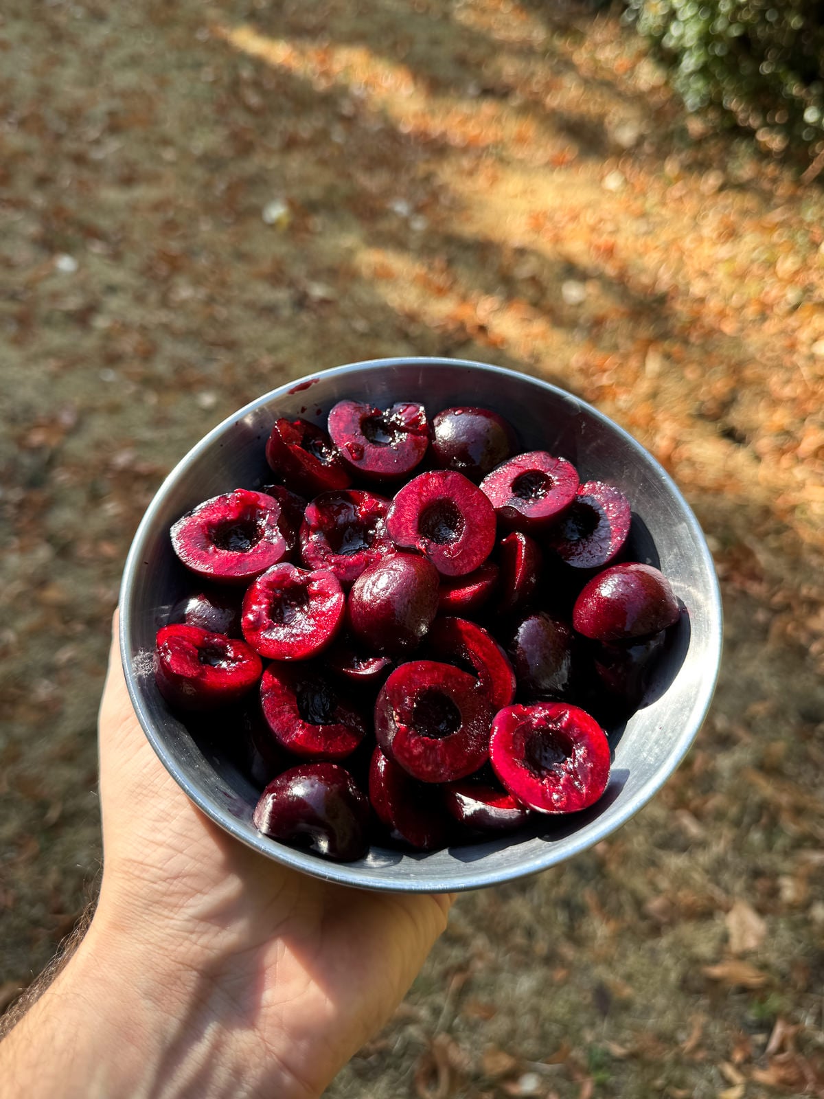 sweet cherries cut into halves