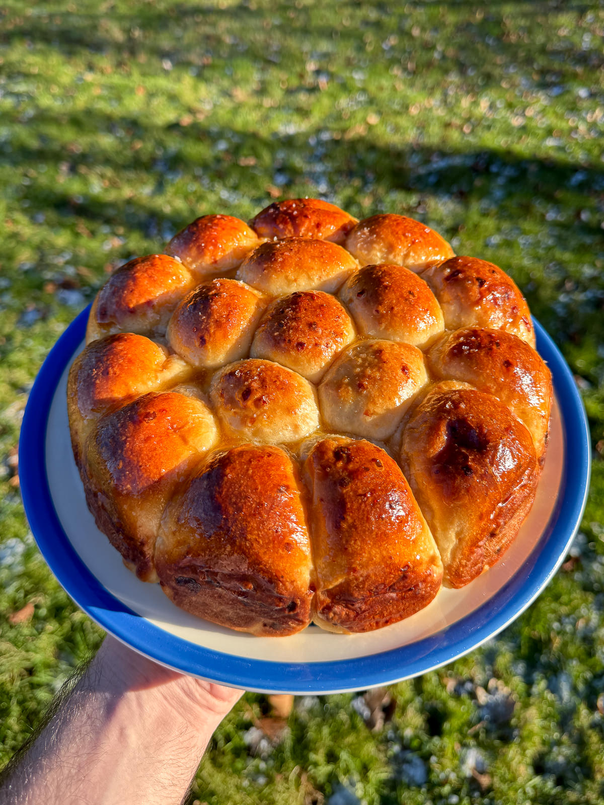 tear share style dinner rolls