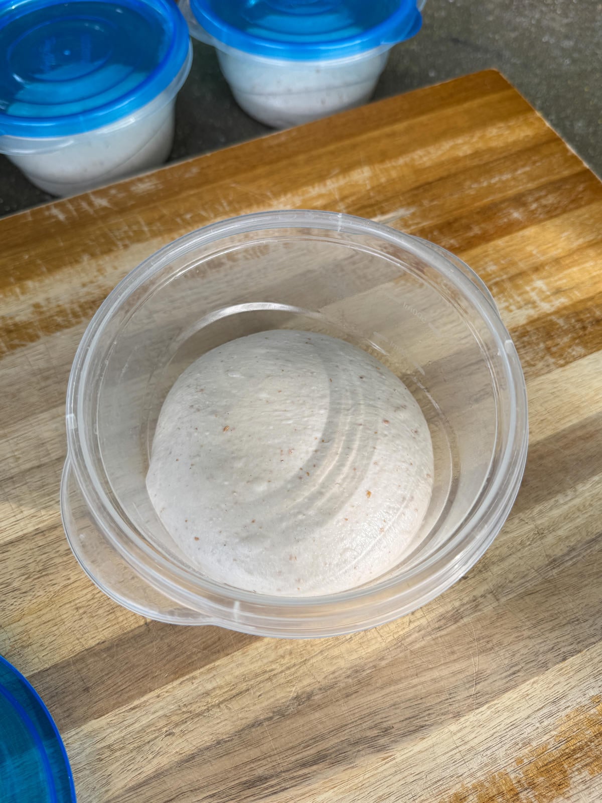tempered dough