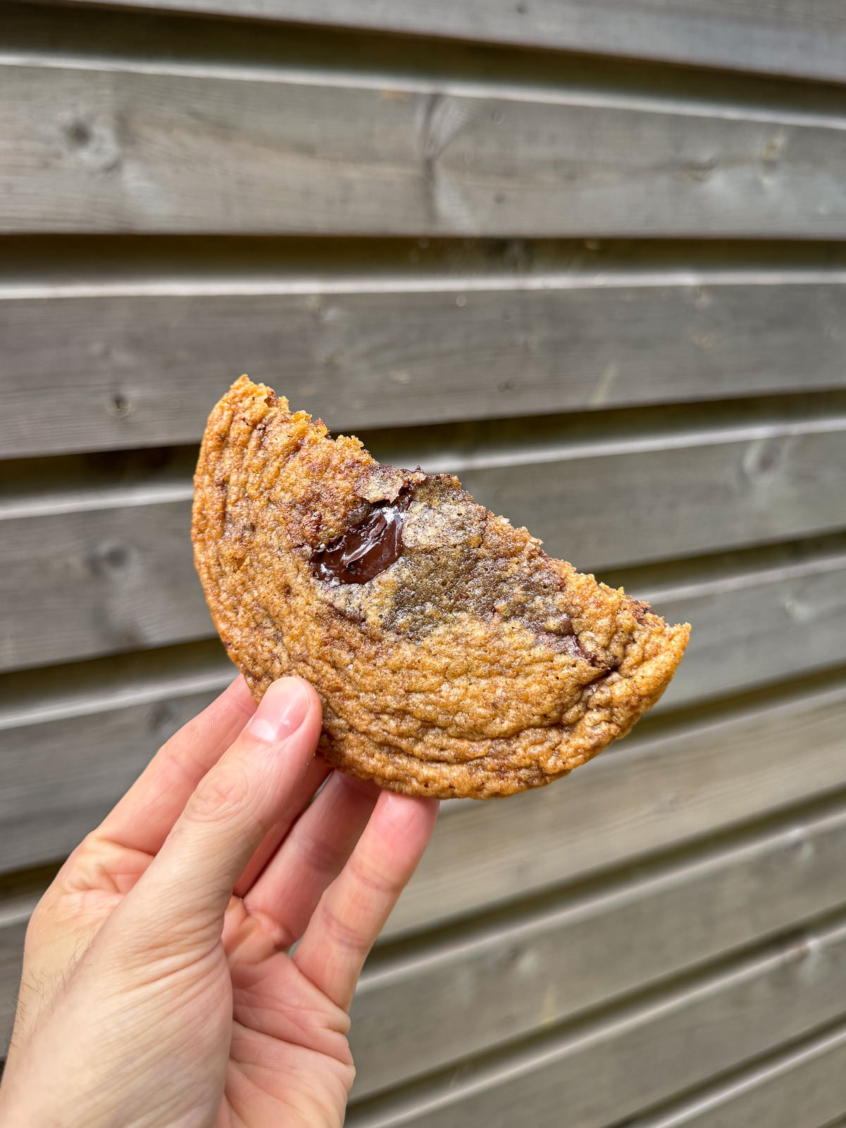 thin cookie with molten chocolate pools