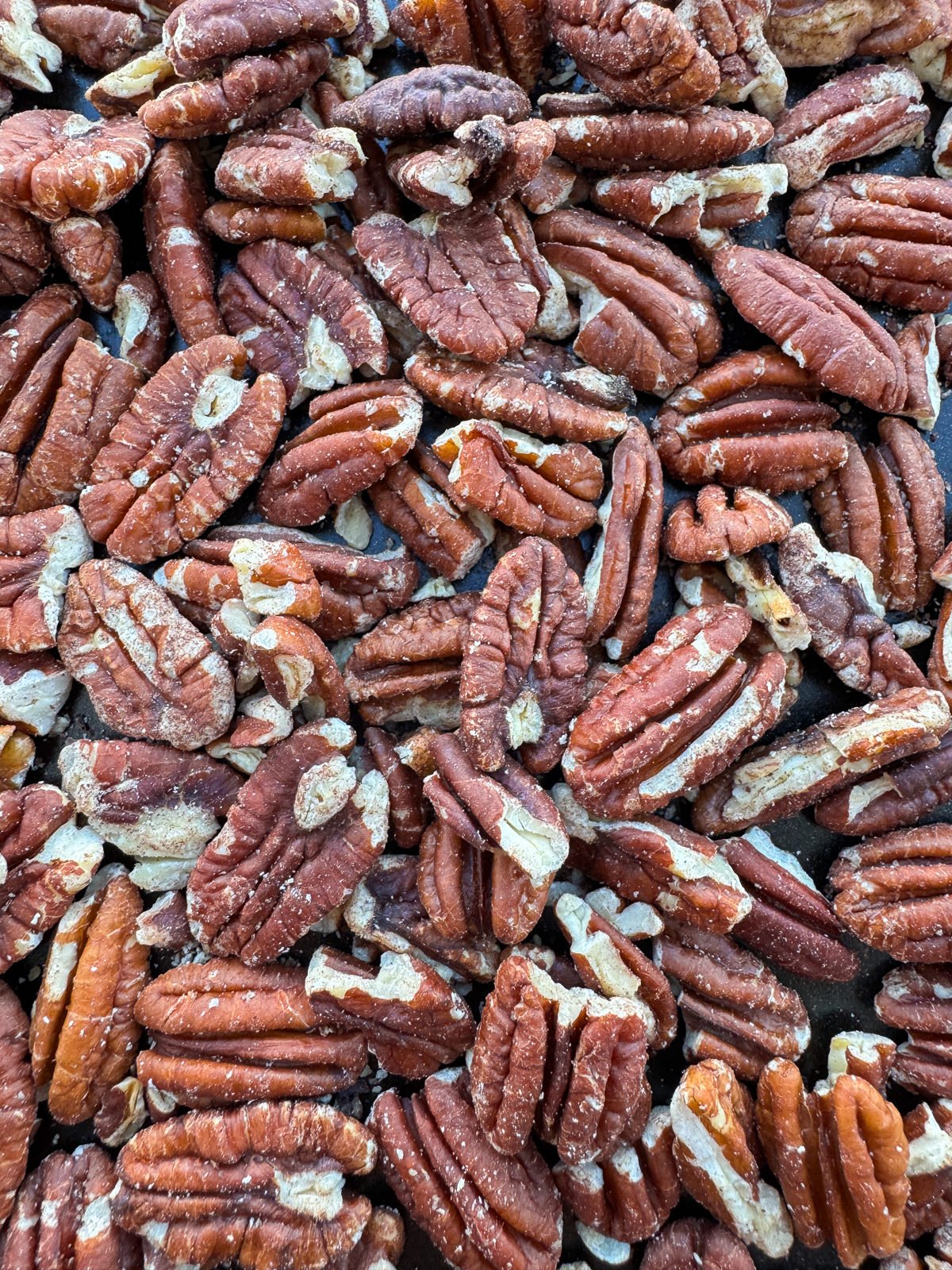 toasted pecans close up photo
