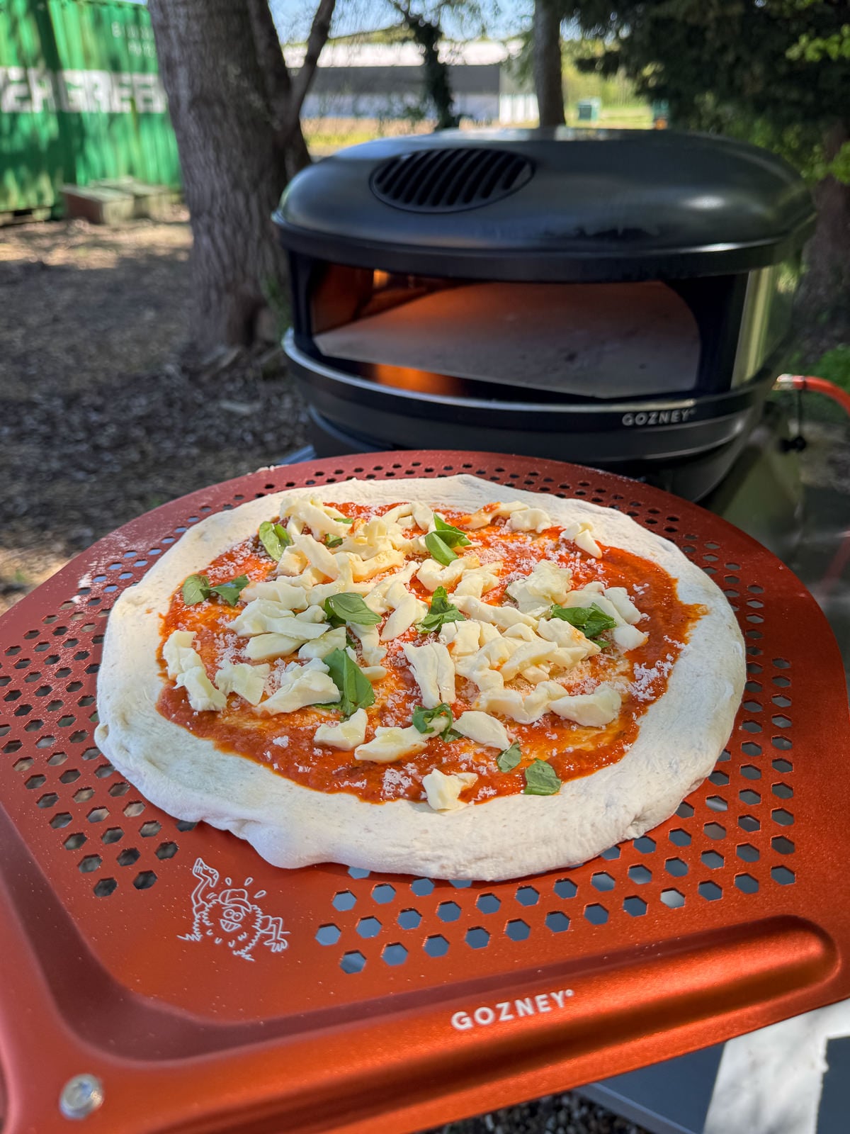 homemade tomato pizza base