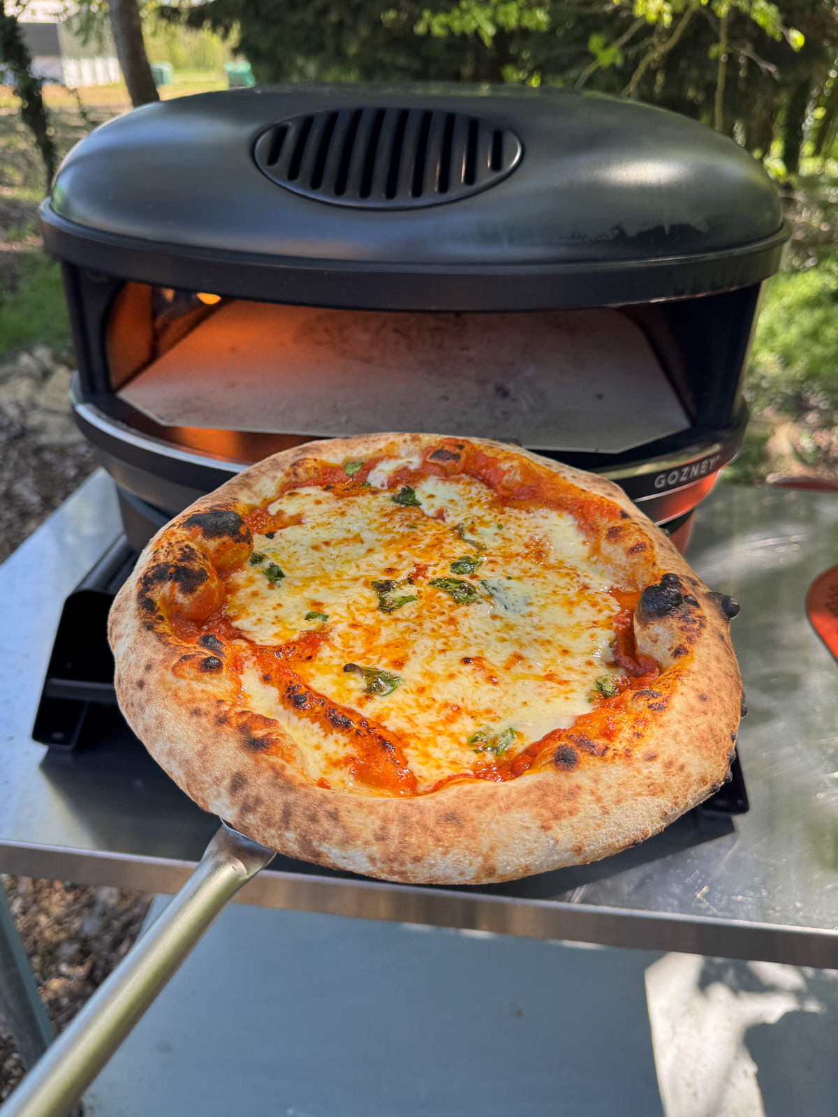 tomato pizza baked in pizza oven