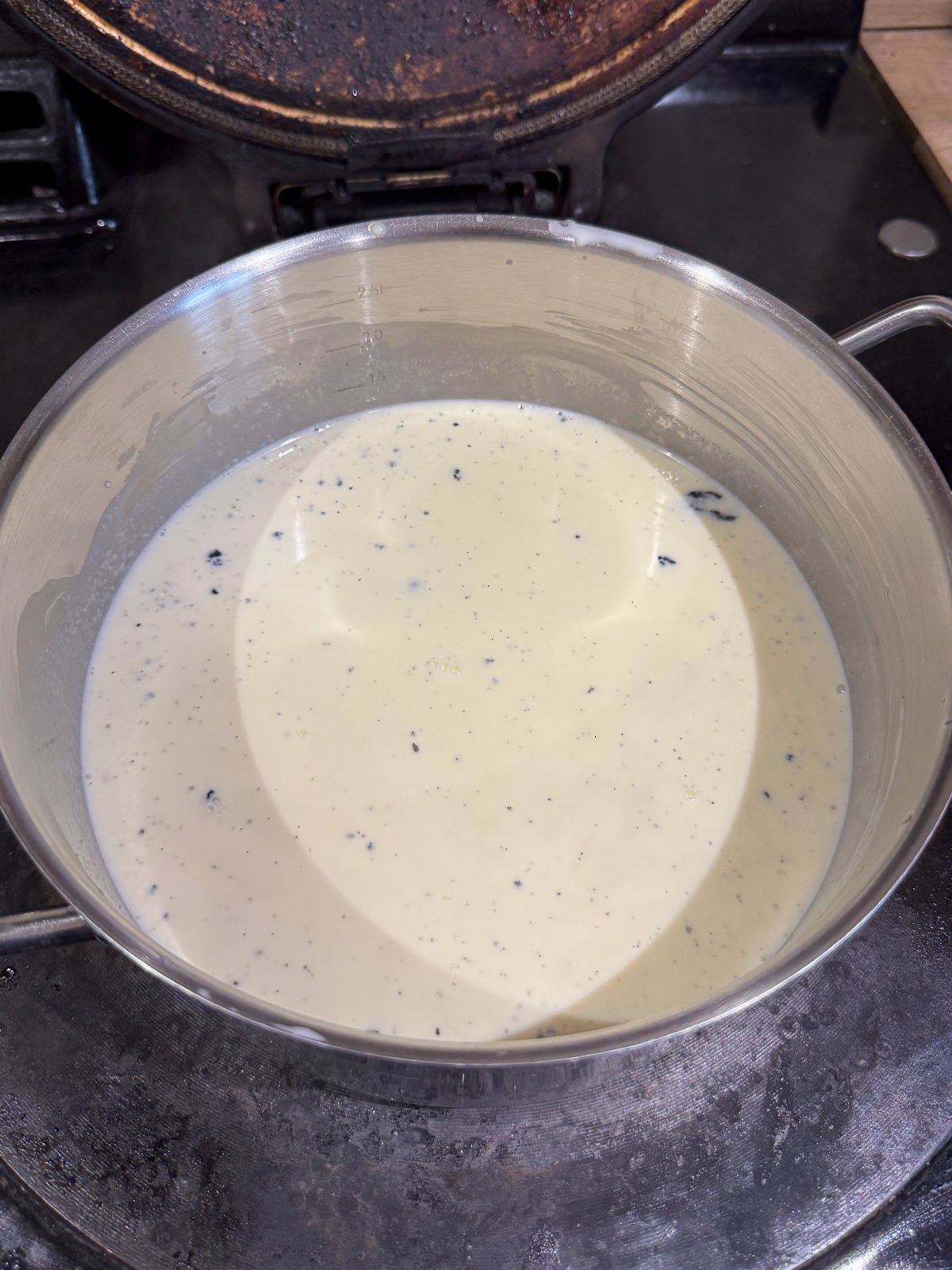 vanilla cream for panna cotta