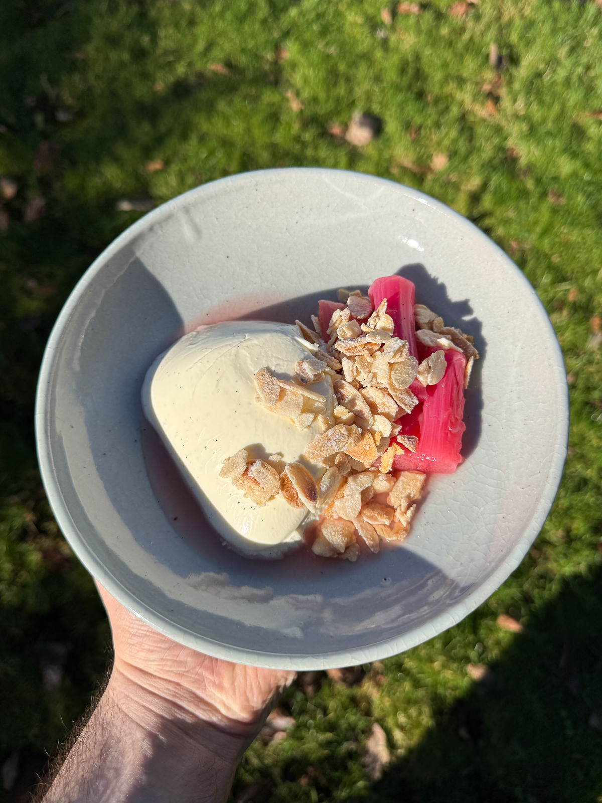vanilla panna cotta with rhubarb & almonds