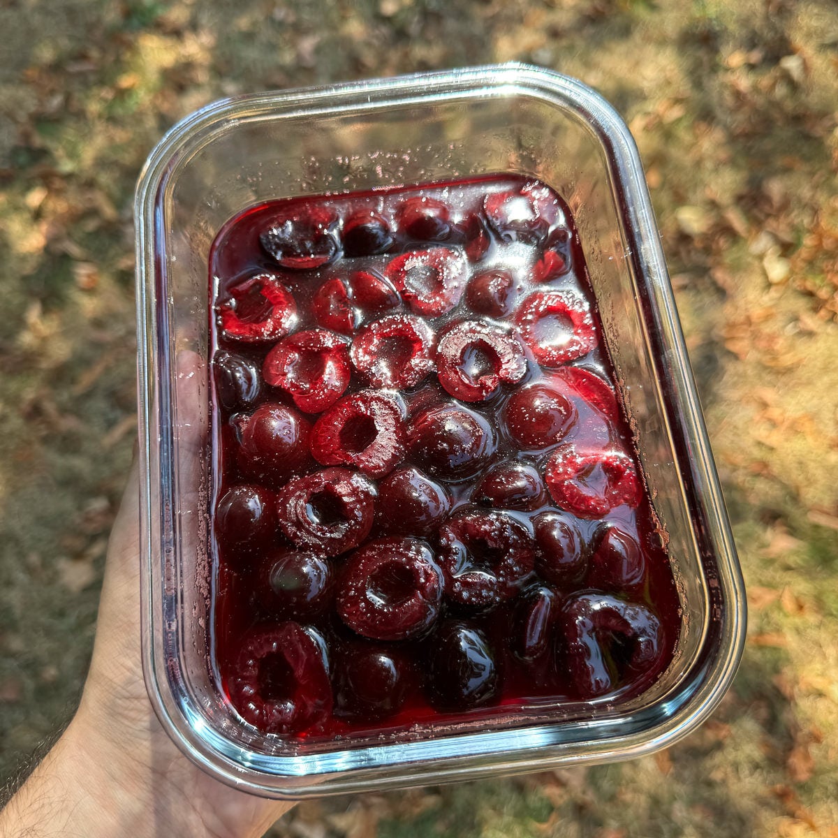 vanilla poached cherries
