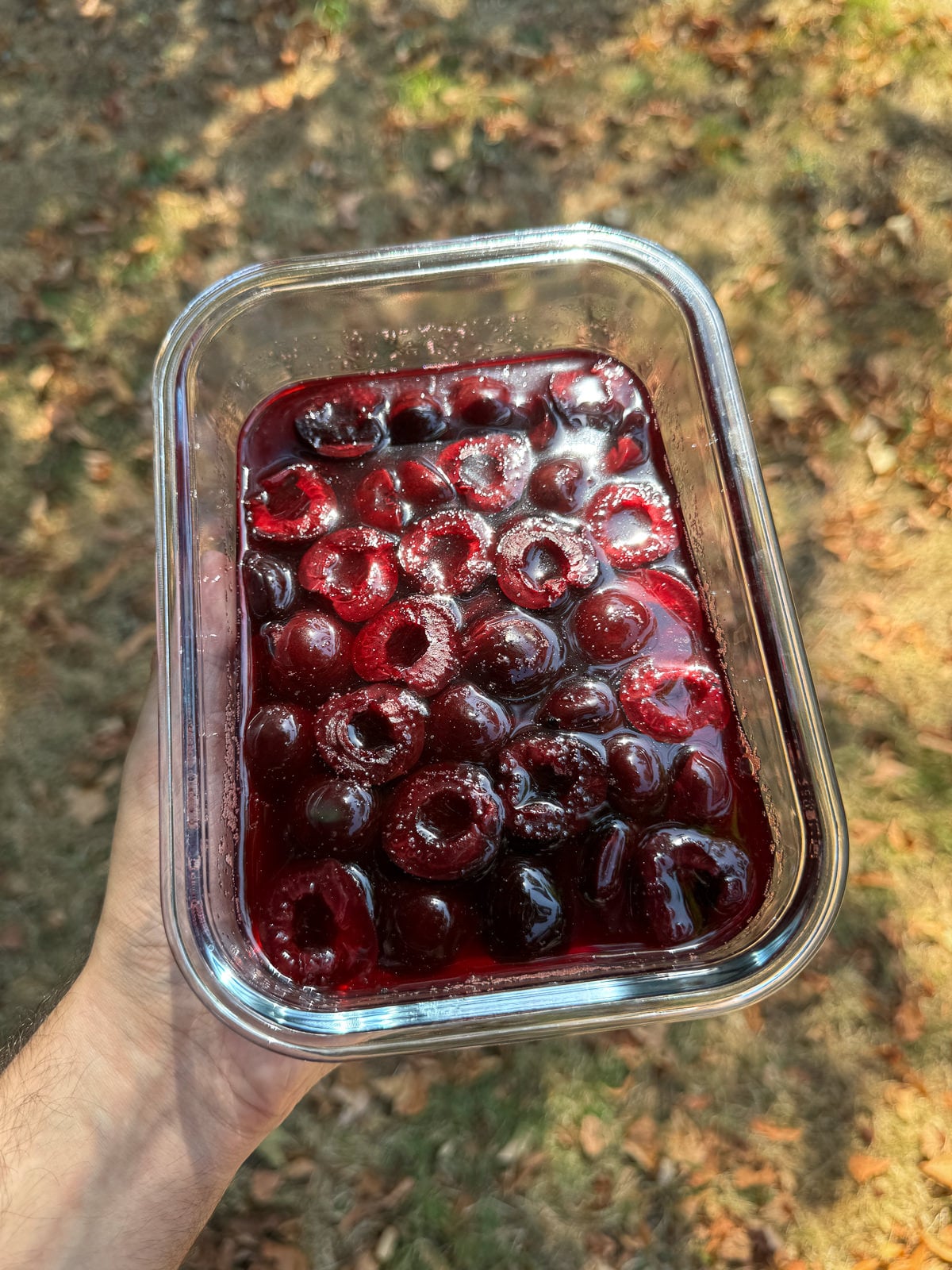 poached cherries in syrup