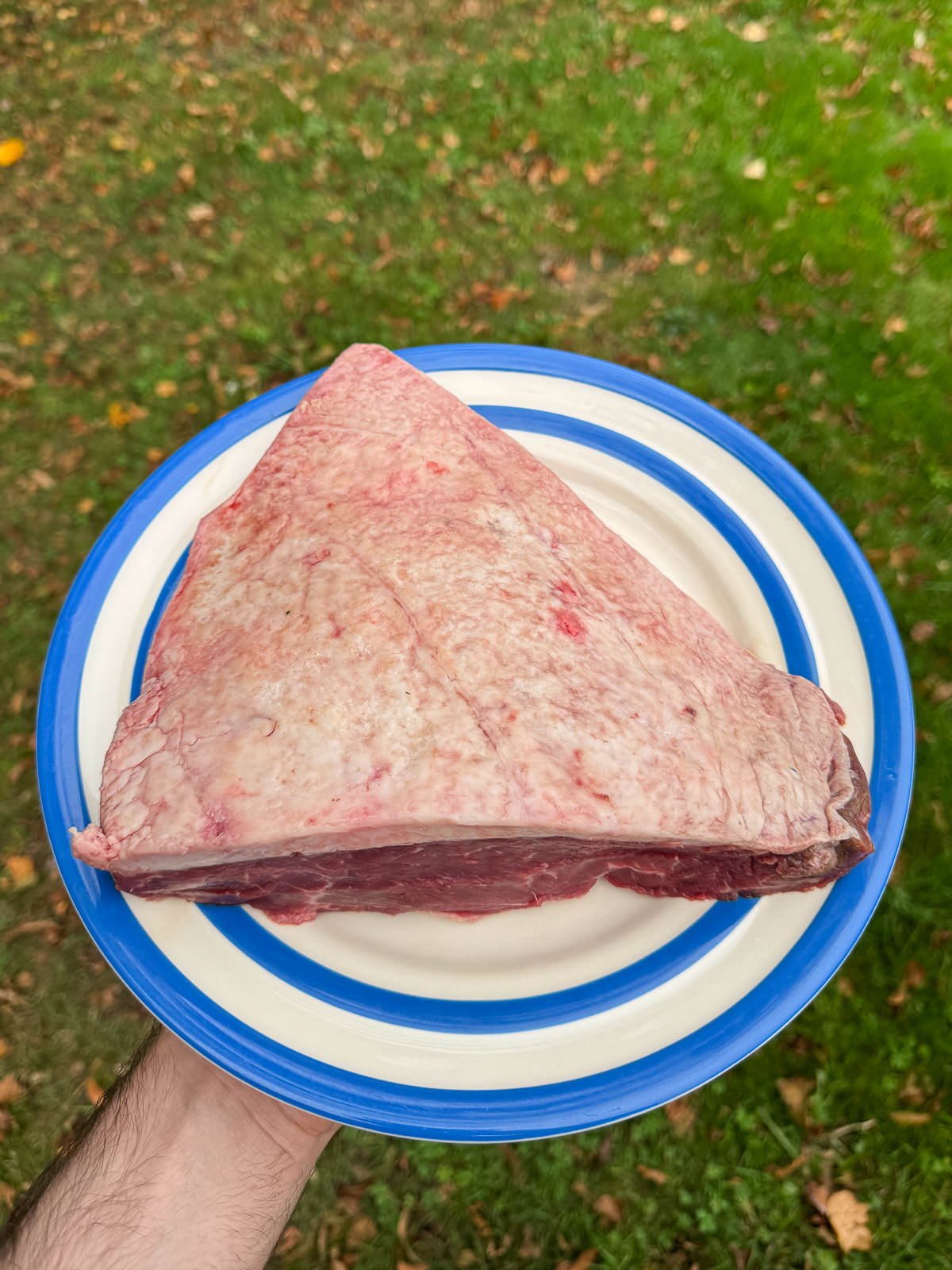 whole picanha rump cap